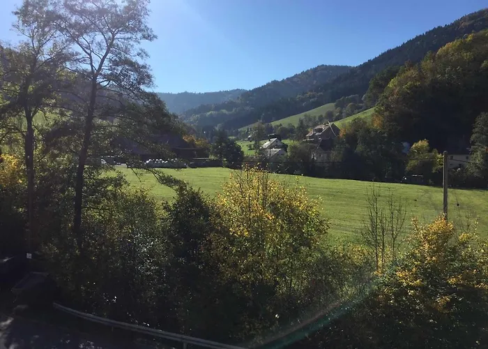 Ferienwohnung Am Bannwald 1
