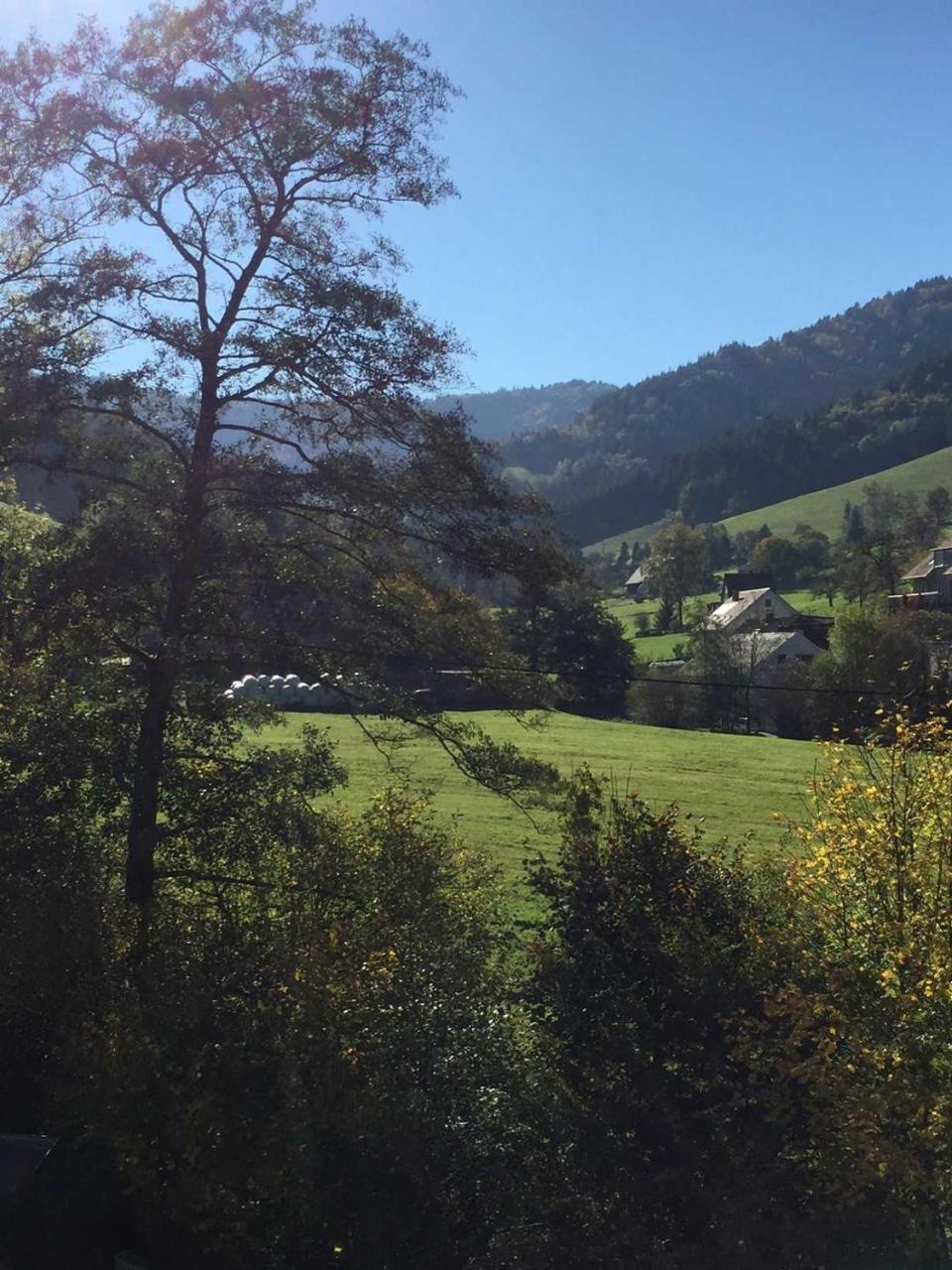 Am Bannwald 1 Freiburg im Breisgau